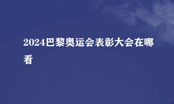 2024巴黎奥运会表彰大会在哪看
