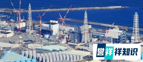 农夫山泉被指用日本福岛白桃，市值暴跌2800亿