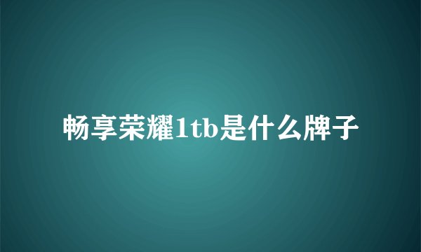 畅享荣耀1tb是什么牌子