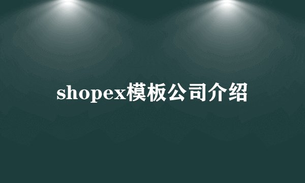 shopex模板公司介绍