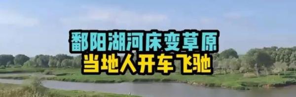 鄱阳湖河床变草原 当地人开车飞驰实图草长二三十厘米