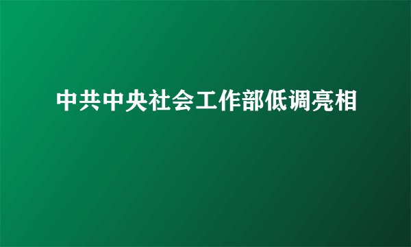 中共中央社会工作部低调亮相