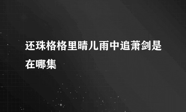 还珠格格里晴儿雨中追萧剑是在哪集