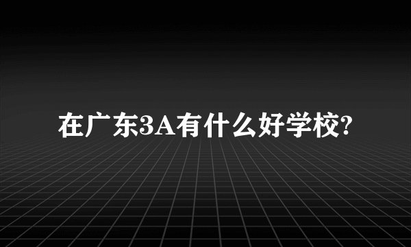 在广东3A有什么好学校?