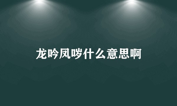 龙吟凤哕什么意思啊