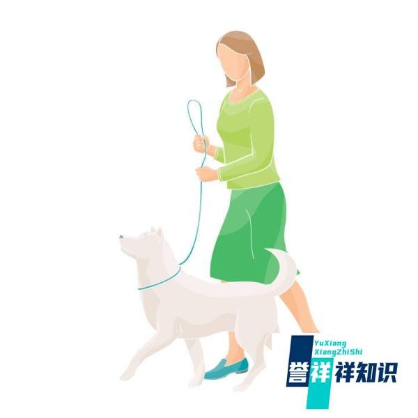 新兴职业“牵犬师”是做什么的 蚂蚁新村