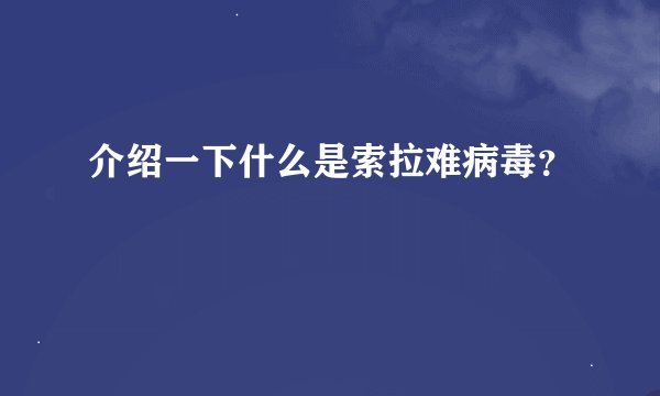 介绍一下什么是索拉难病毒？