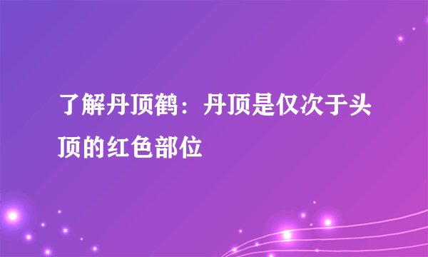 了解丹顶鹤：丹顶是仅次于头顶的红色部位