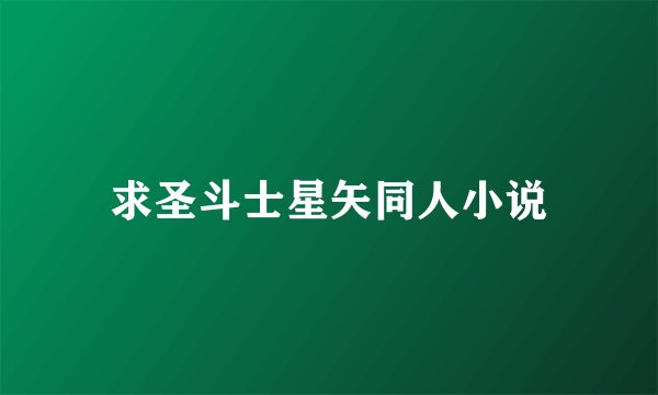 求圣斗士星矢同人小说