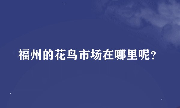 福州的花鸟市场在哪里呢？
