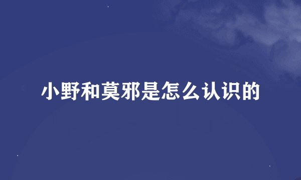 小野和莫邪是怎么认识的