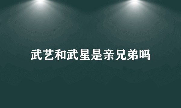 武艺和武星是亲兄弟吗