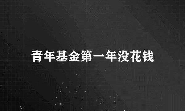 青年基金第一年没花钱
