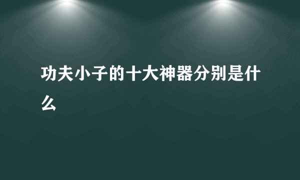 功夫小子的十大神器分别是什么