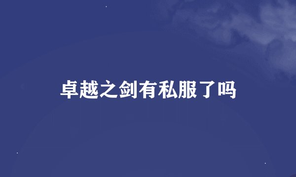 卓越之剑有私服了吗