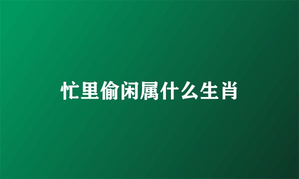 忙里偷闲属什么生肖