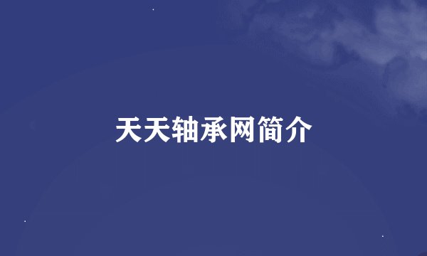 天天轴承网简介
