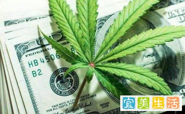 格兰仕搞大动作？3天发7篇声明怼天猫！“怒怼”转向行动？