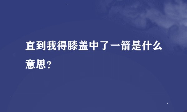 直到我得膝盖中了一箭是什么意思？