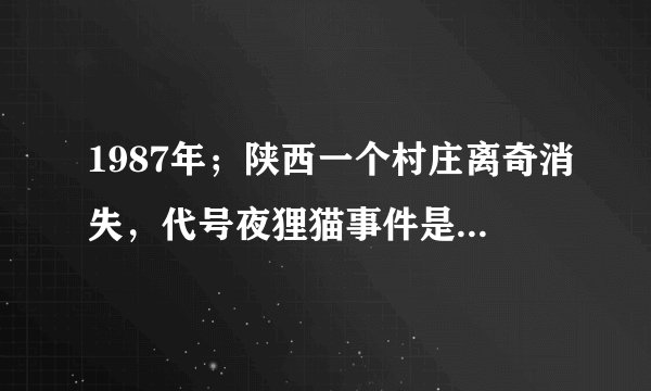 1987年；陕西一个村庄离奇消失，代号夜狸猫事件是怎么回事？