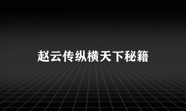 赵云传纵横天下秘籍