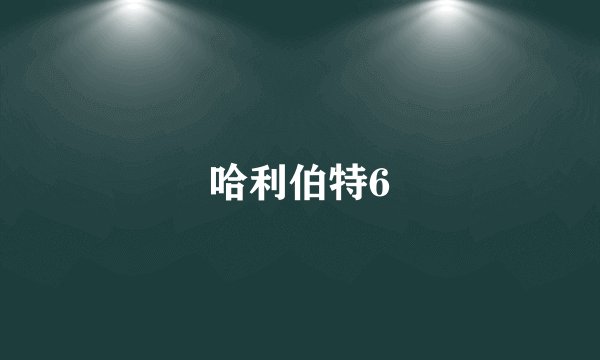 哈利伯特6