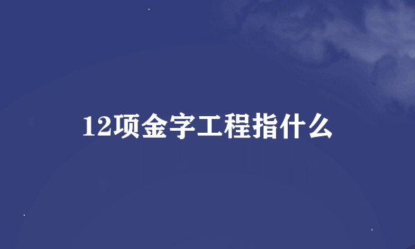 12项金字工程指什么