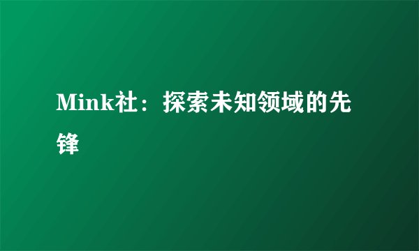 Mink社:探索未知领域的先锋