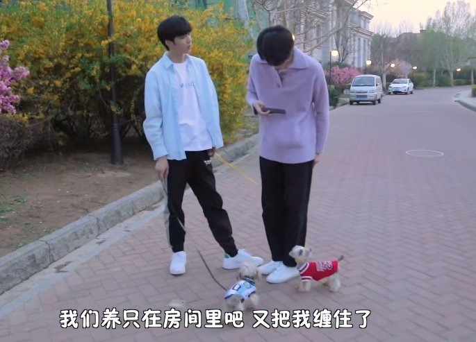 宋亚轩刘耀文一起遛狗,他们这是在录制什么节目?