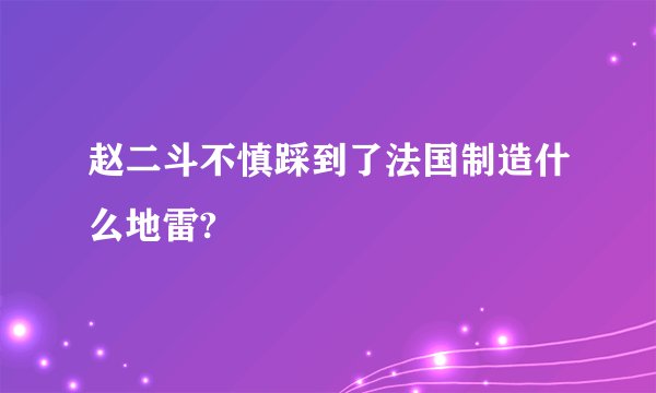 赵二斗不慎踩到了法国制造什么地雷?