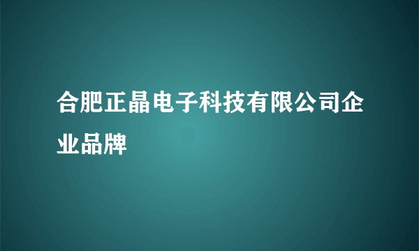 合肥正晶电子科技有限公司企业品牌
