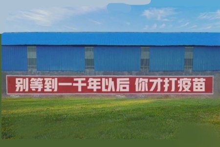 社区回应打疫苗标语走红,你的社区打疫苗标语有哪些?