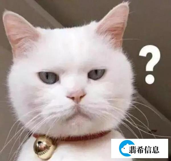 想要写好毕业论文proposal 看这一篇就够了