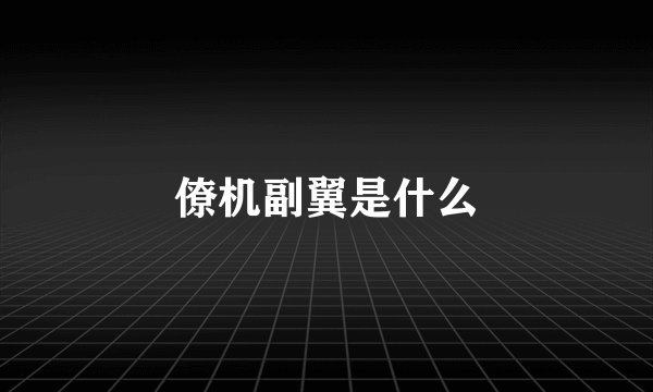 僚机副翼是什么