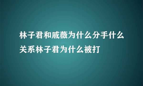 林子君和戚薇为什么分手什么关系林子君为什么被打