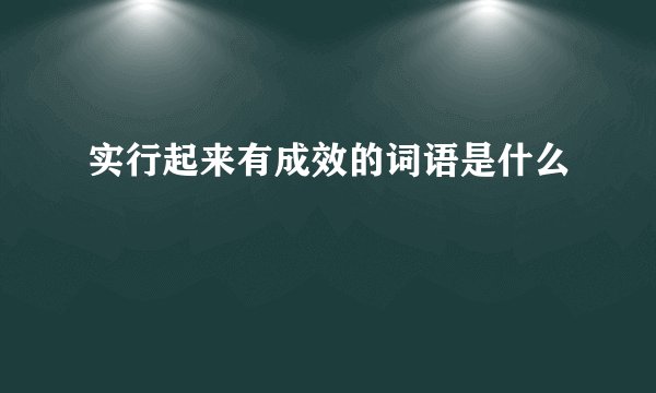 实行起来有成效的词语是什么