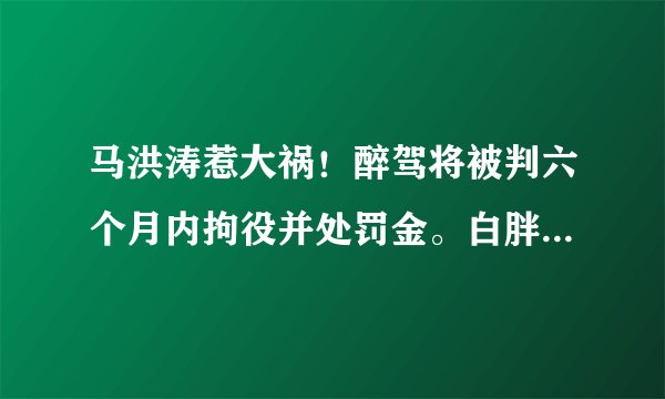 马洪涛惹大祸！醉驾将被判六个月内拘役并处罚金。白胖患病与石头花感情出问题退网消失