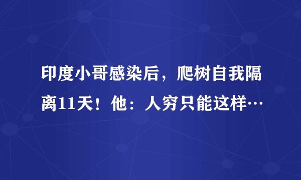 印度小哥感染后，爬树自我隔离11天！他：人穷只能这样…