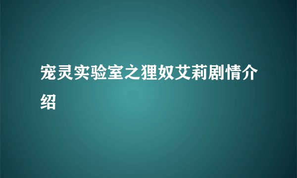 宠灵实验室之狸奴艾莉剧情介绍