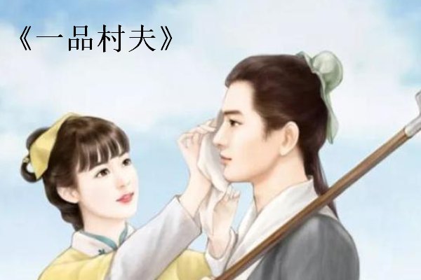 一品村夫小说结局