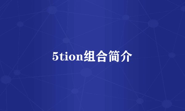 5tion组合简介