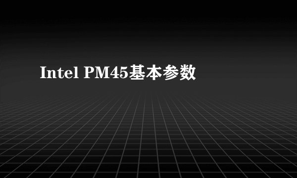 Intel PM45基本参数