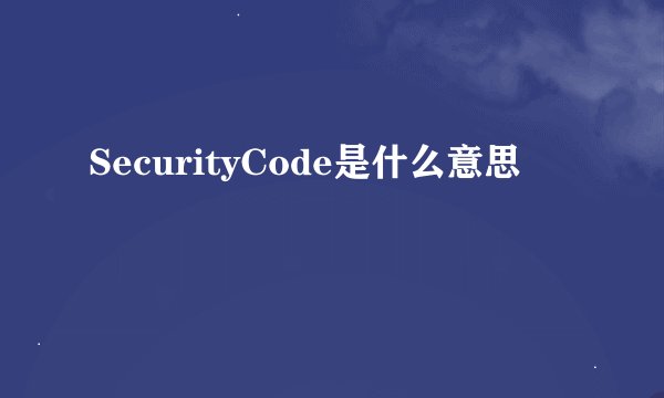 SecurityCode是什么意思