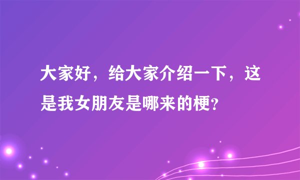 大家好，给大家介绍一下，这是我女朋友是哪来的梗？
