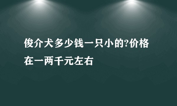 俊介犬多少钱一只小的?价格在一两千元左右