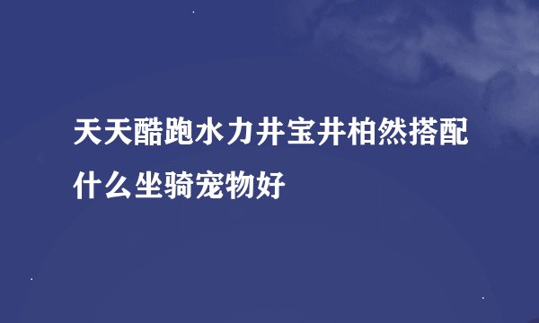 天天酷跑水力井宝井柏然搭配什么坐骑宠物好