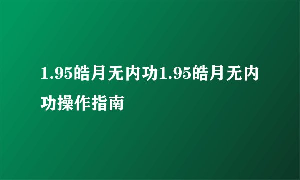 1.95皓月无内功1.95皓月无内功操作指南