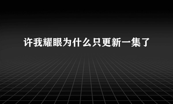 许我耀眼为什么只更新一集了