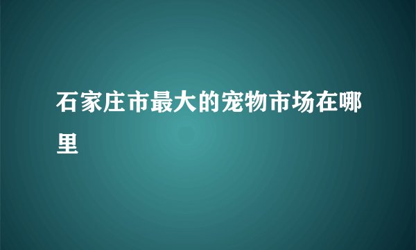 石家庄市最大的宠物市场在哪里