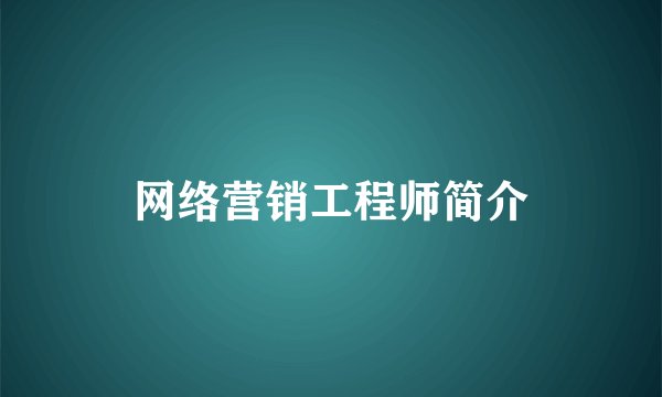 网络营销工程师简介